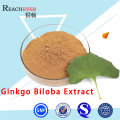 Pure Natural Ginkgo Biloba Preventing Diabetes and Hypertension